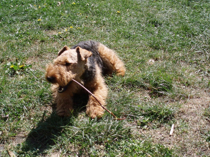 07_05_H207_zahrada_017.JPG