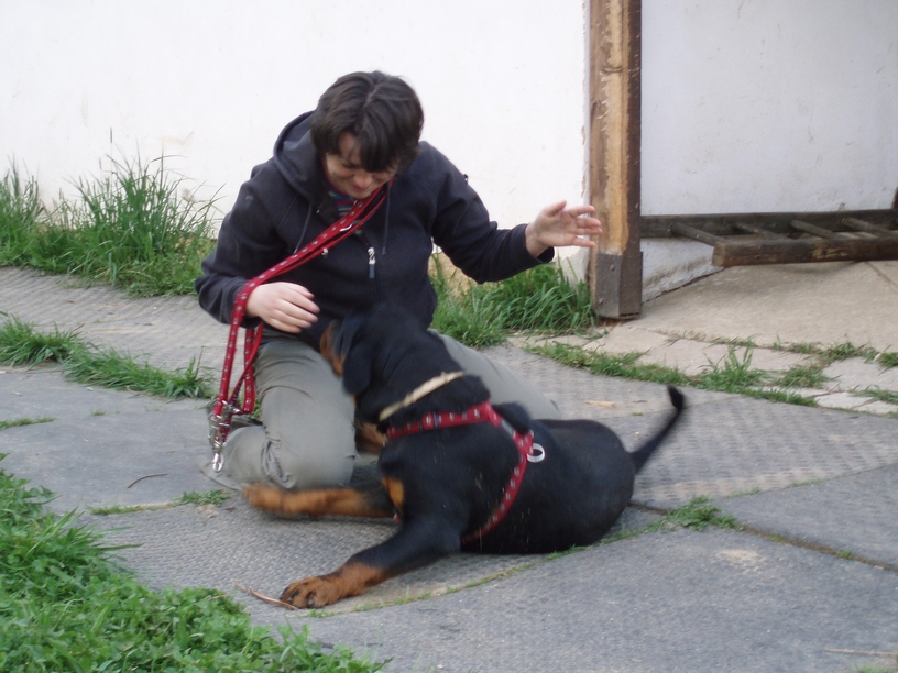 08_04_hafani_006.JPG