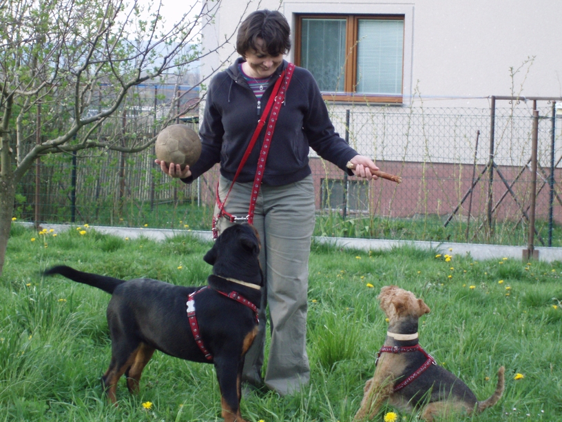 08_04_hafani_008.JPG