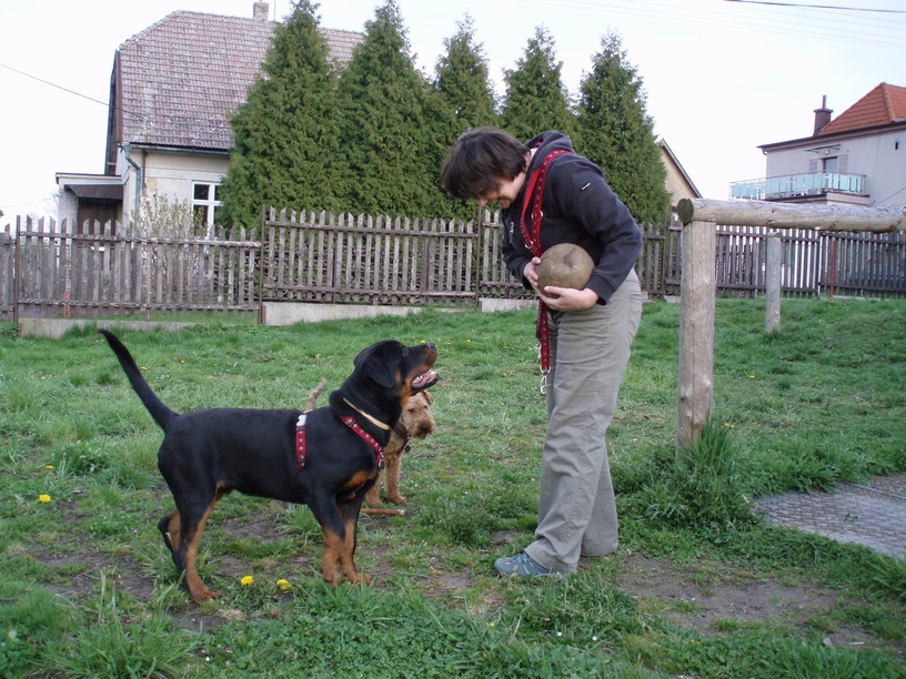 08_04_hafani_011.JPG