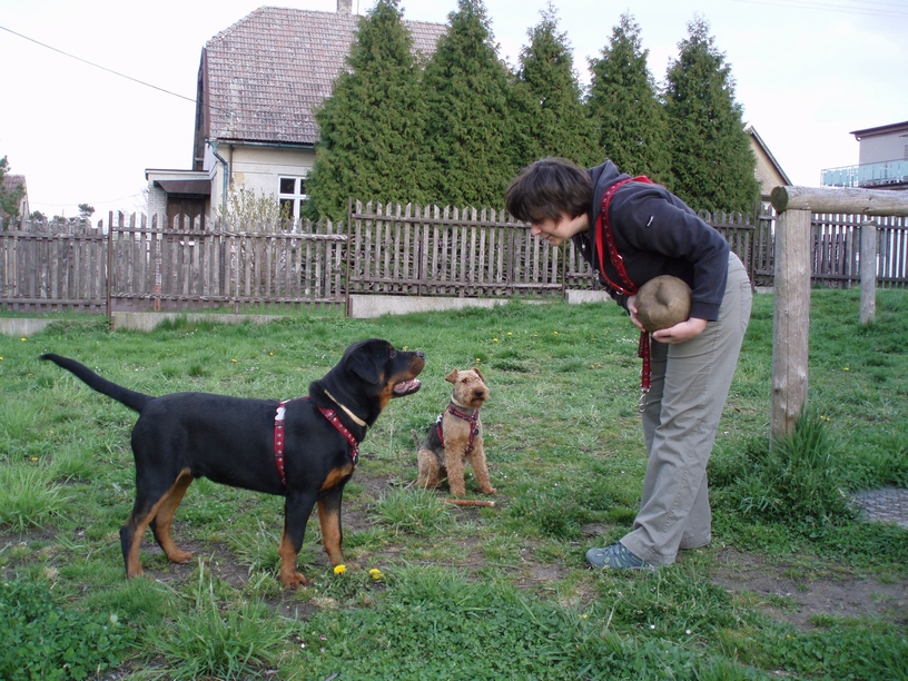 08_04_hafani_012.JPG