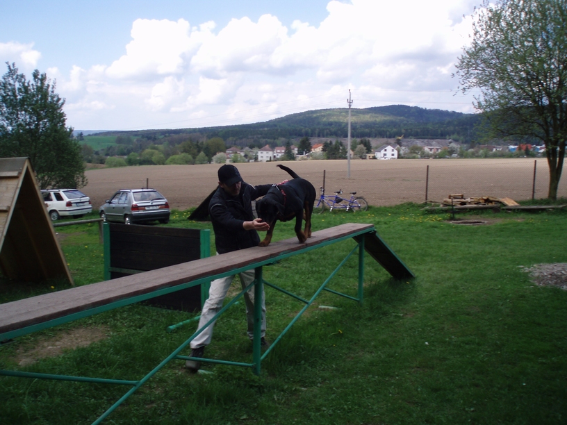 08_05_03_Monty_cvičák_001.JPG