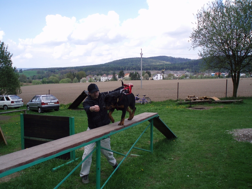 08_05_03_Monty_cvičák_004.JPG