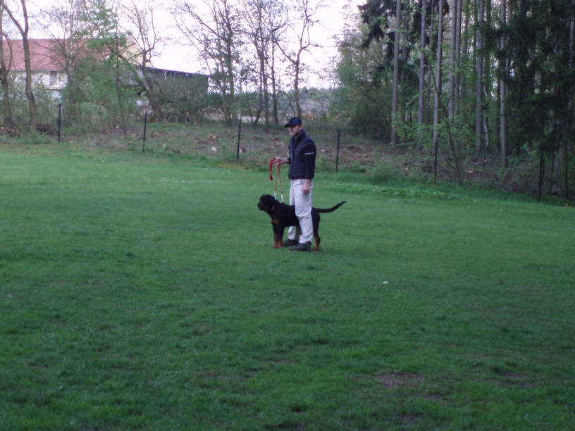 08_05_03_Monty_cvičák_010.JPG