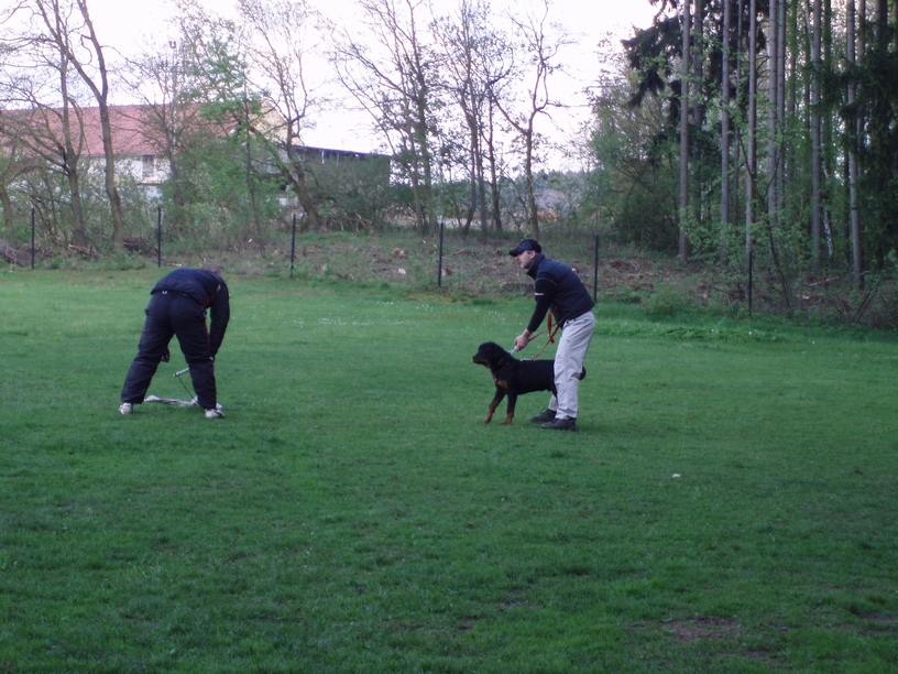 08_05_03_Monty_cvičák_011.JPG
