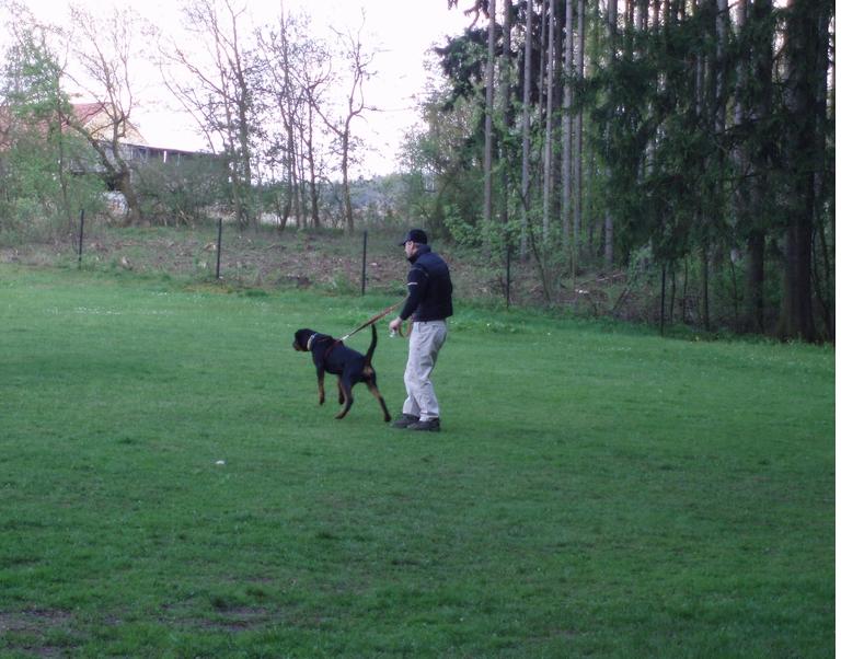 08_05_03_Monty_cvičák_013.JPG