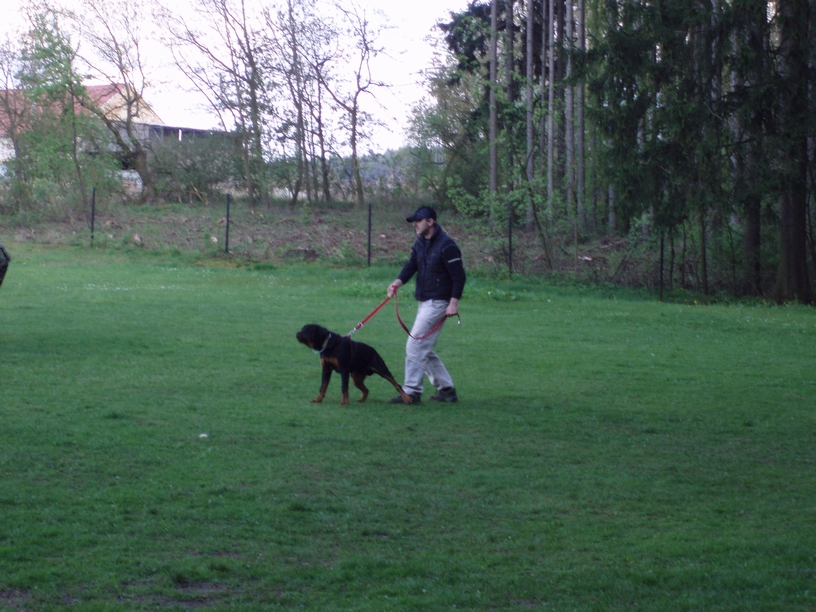 08_05_03_Monty_cvičák_014.JPG