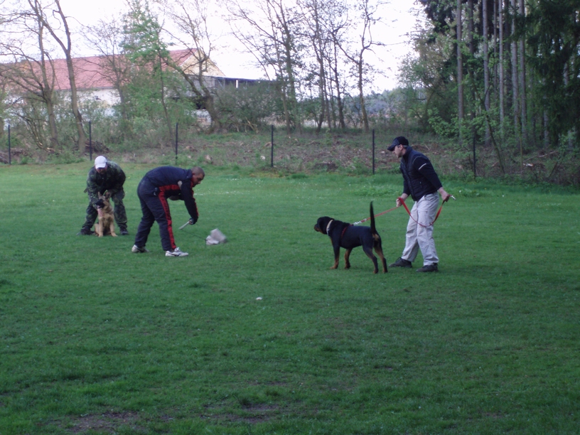 08_05_03_Monty_cvičák_015.JPG