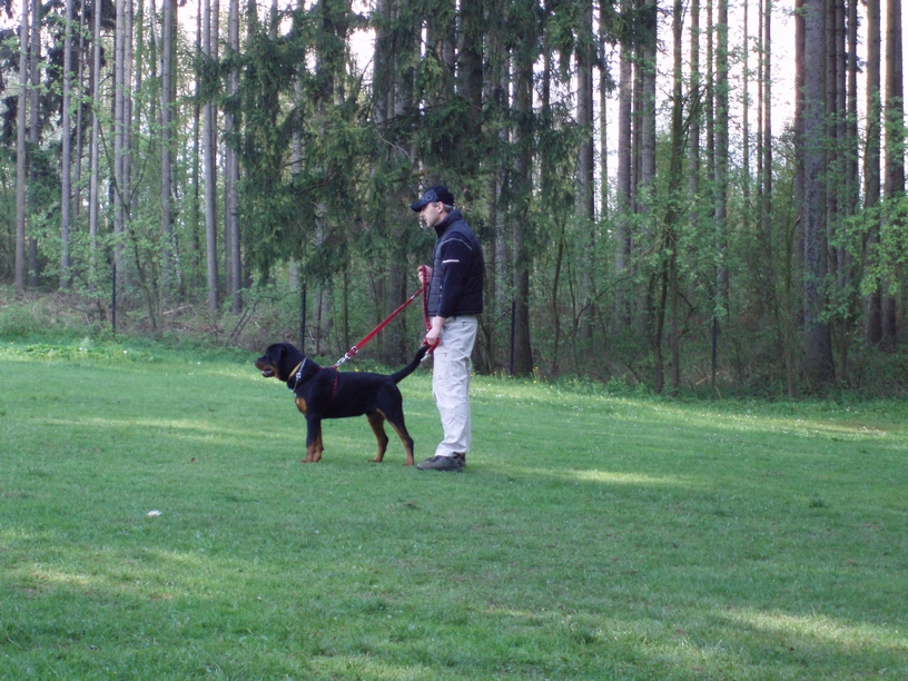 08_05_03_Monty_cvičák_016.JPG