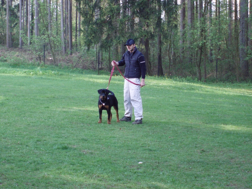 08_05_03_Monty_cvičák_017.JPG