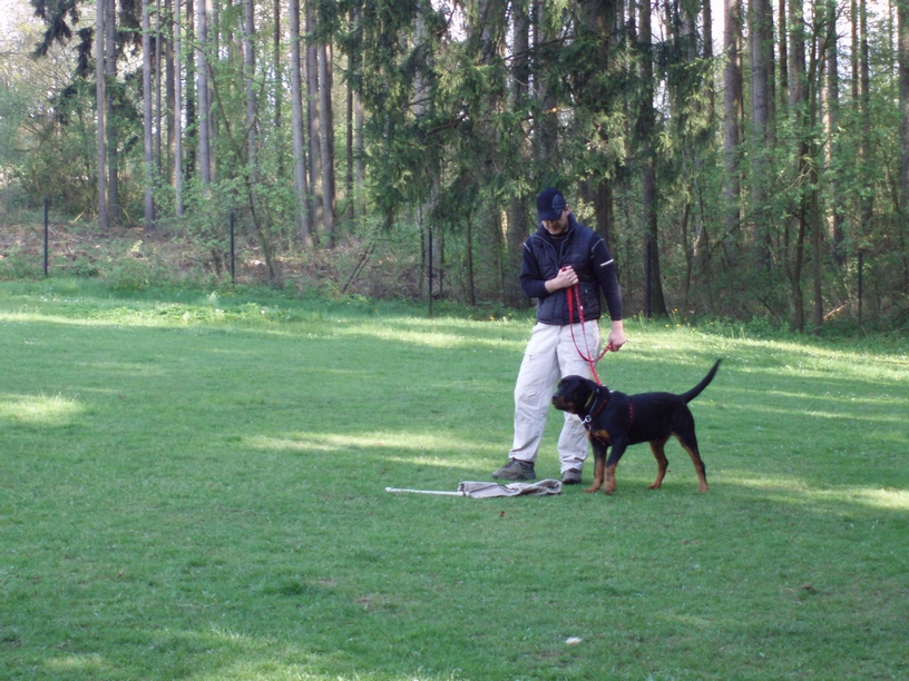 08_05_03_Monty_cvičák_018.JPG