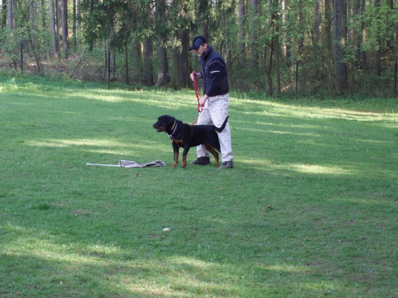 08_05_03_Monty_cvičák_019.JPG