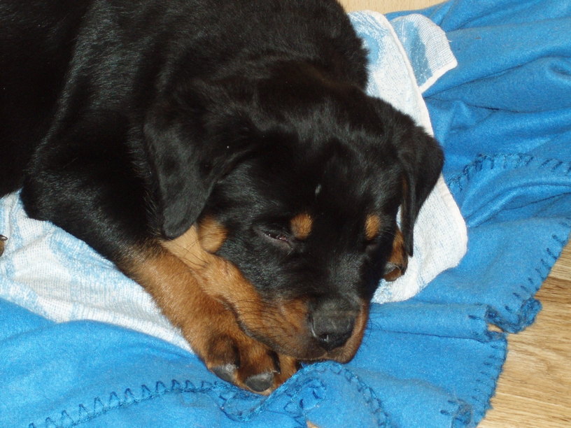 08_01_Monty059.JPG