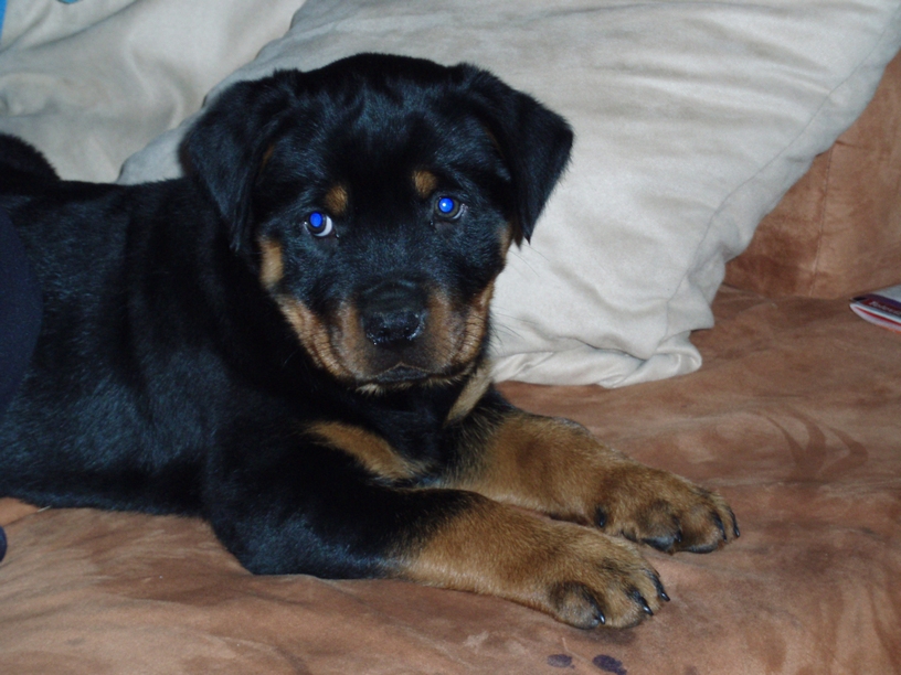 08_01_Monty259.JPG