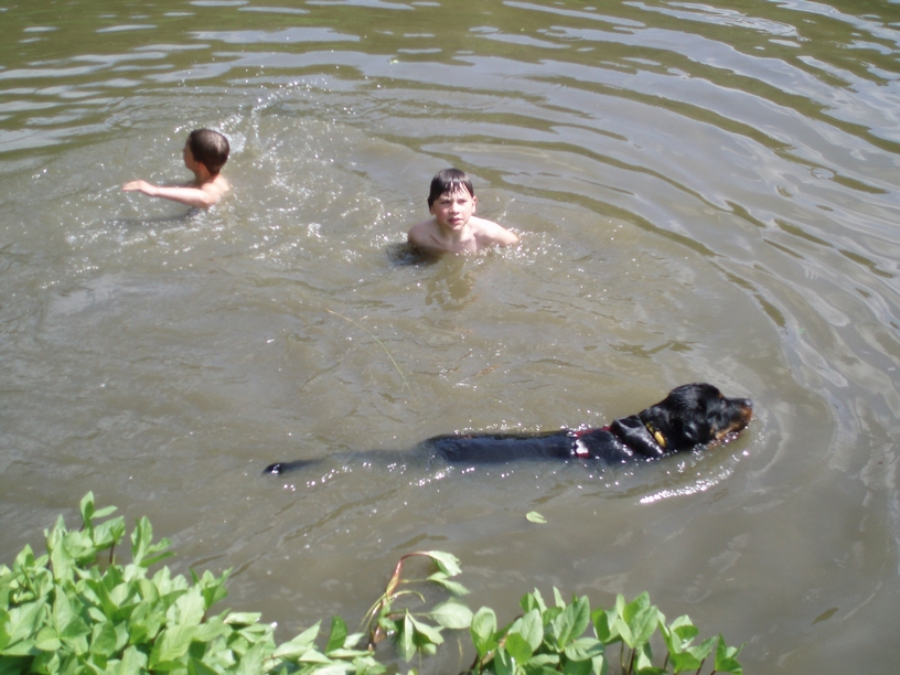 08_06_01_koupání_Veselá_013.JPG