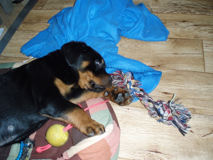 08_01_Monty_028.JPG