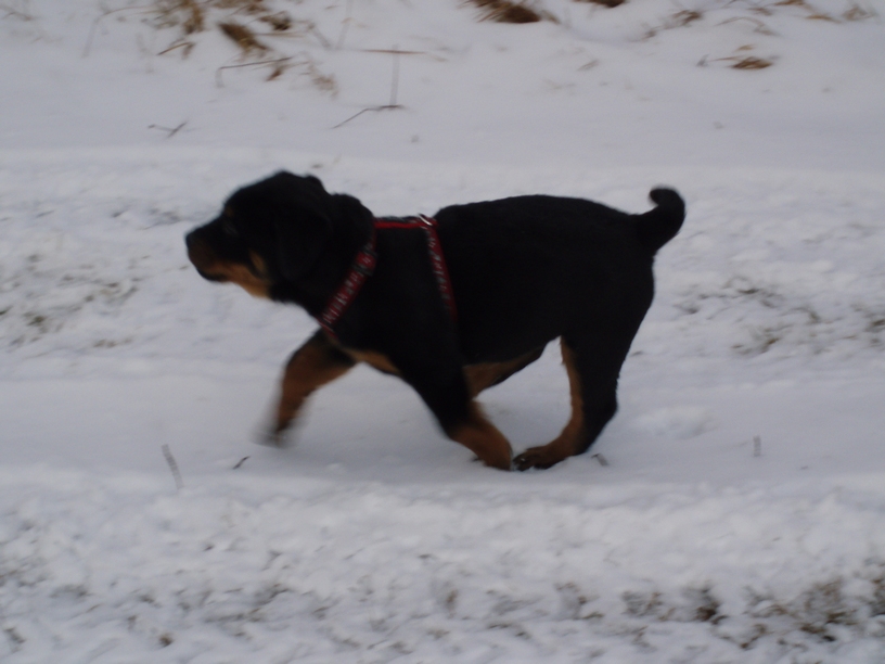 08_01_Monty068.JPG