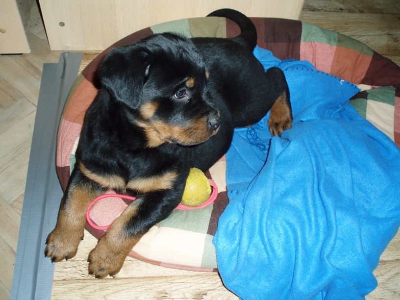 08_01_Monty057.JPG