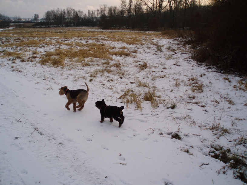 08_01_Monty082.JPG