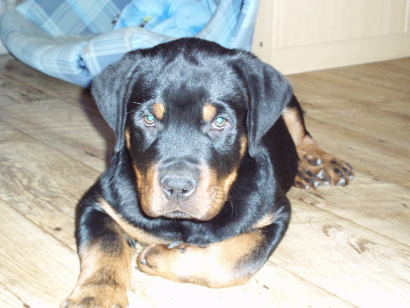 08_01_28_Monty_005.JPG