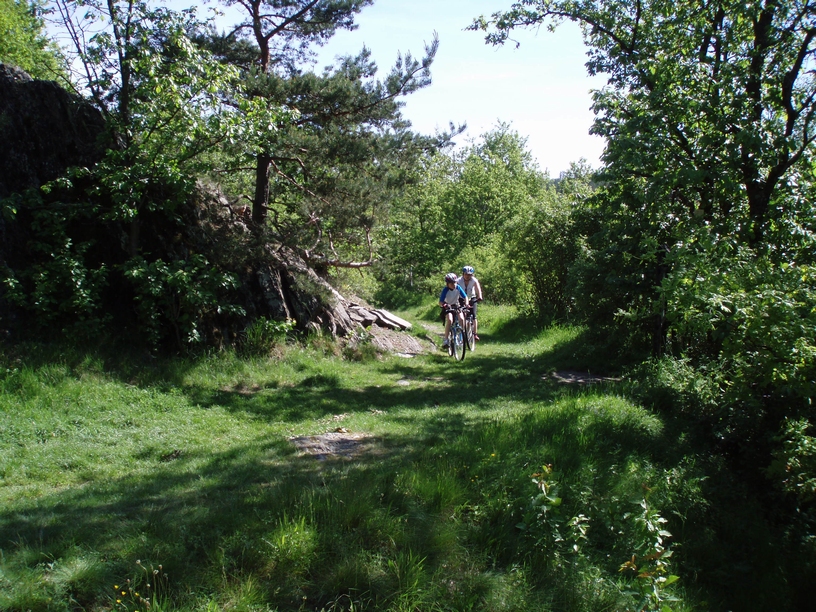 09_05_16_cyklovýletToužim_076.JPG