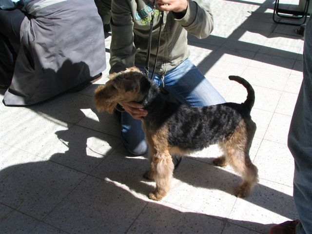 07_04_výstava Tim_002.jpg