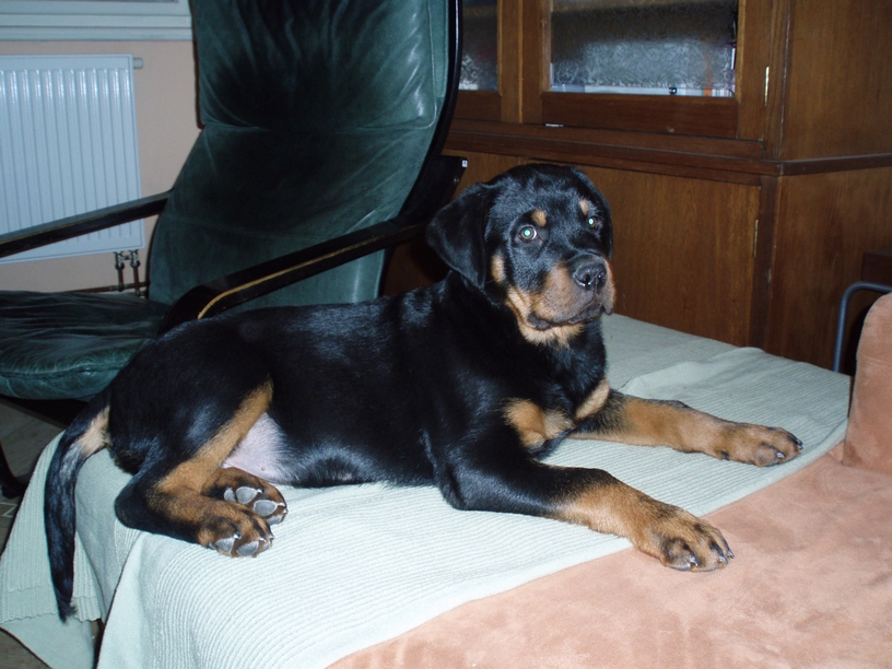 08_01_28_Monty_001.JPG