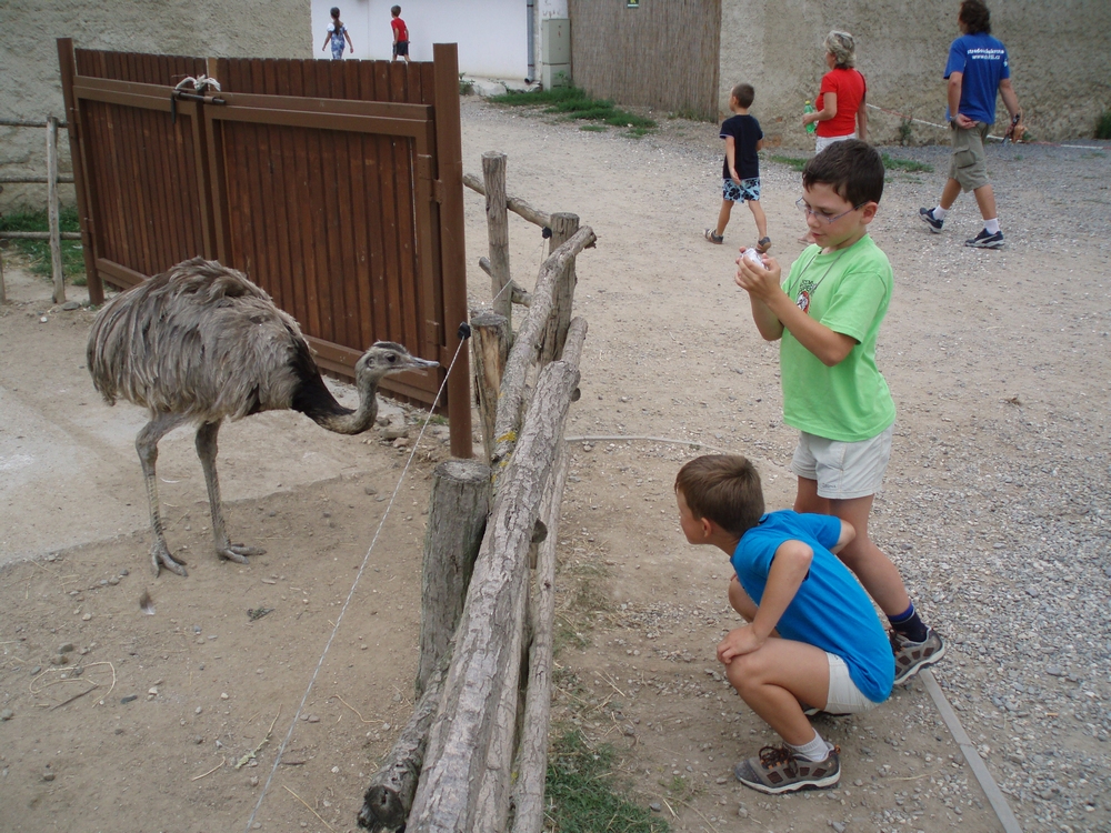 07_08_Vyškov ZOO 17.JPG