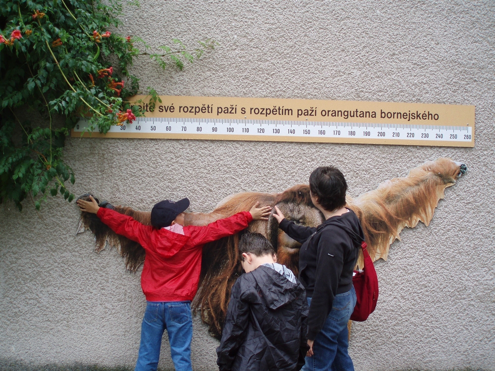 07_08_ZOO Dvůr Králové 56.JPG