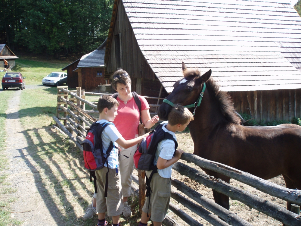 07_08_Skanzen 36.JPG